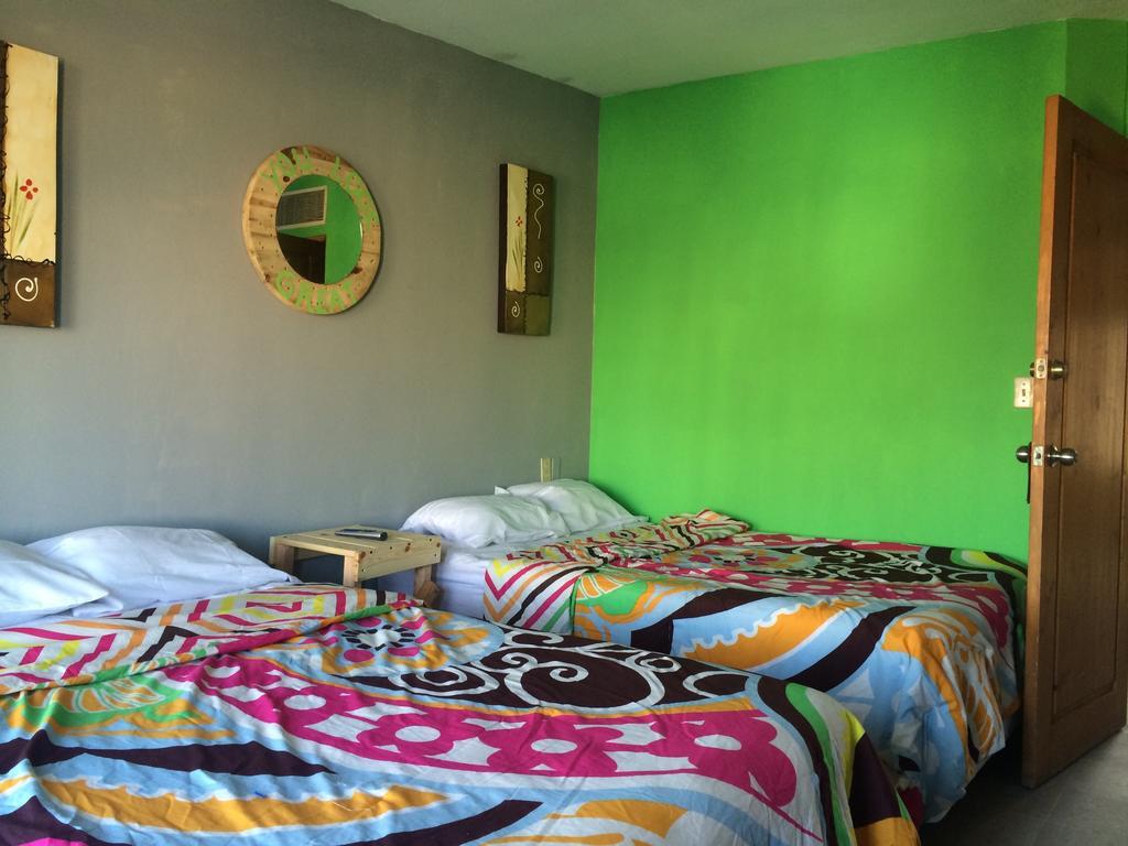 Bajas Cactus Hostel Cabo San Lucas Habitación foto