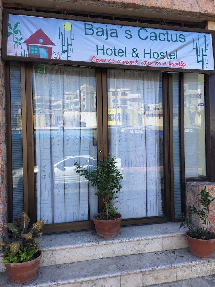 Bajas Cactus Hostel Cabo San Lucas Exterior foto