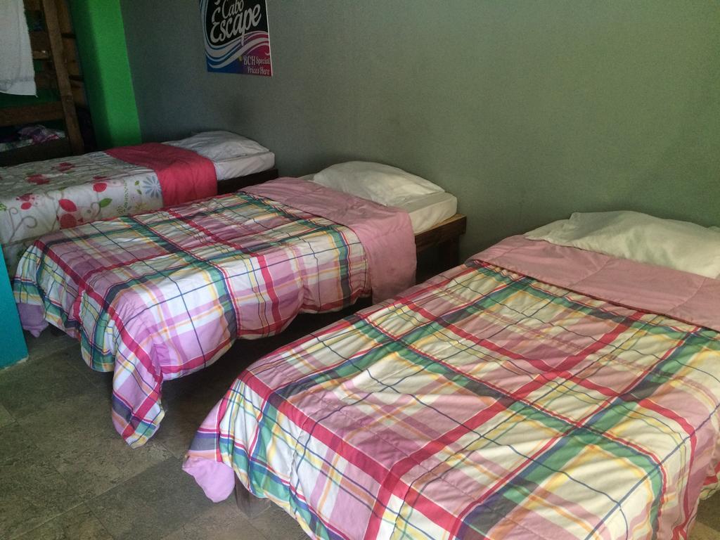 Bajas Cactus Hostel Cabo San Lucas Habitación foto